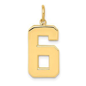 14k Yellow Gold, Athletic Collection, Large Polished Number 6 Pendant